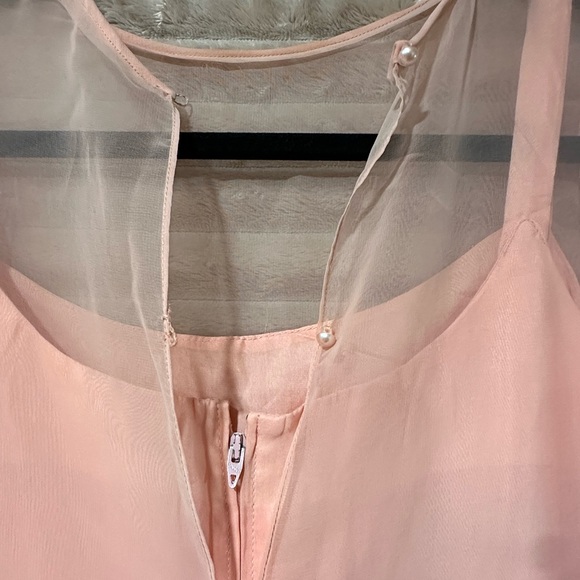 Vintage Blush Pink hand Beaded Chiffon Dress with a sheer overlay - Picture 5 of 6